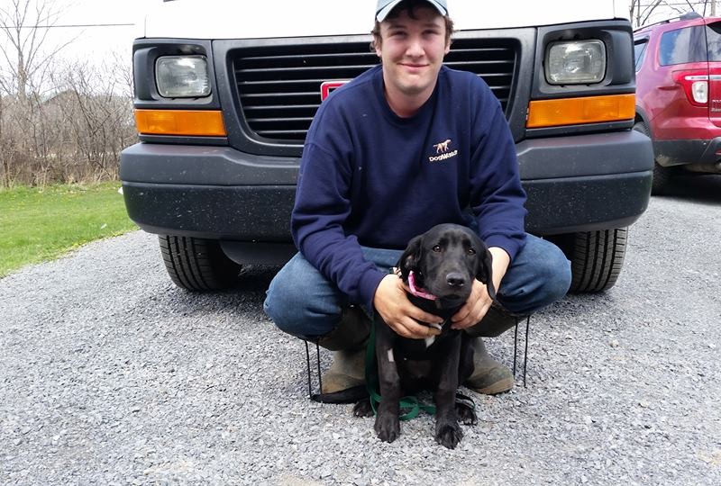 DogWatch of Southeastern Ontario, Battersea, Ontario | Photo Gallery  Image