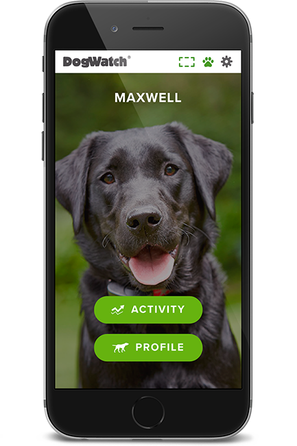 DogWatch of Southeastern Ontario, Sydenham, Ontario | SmartFence WebApp Image