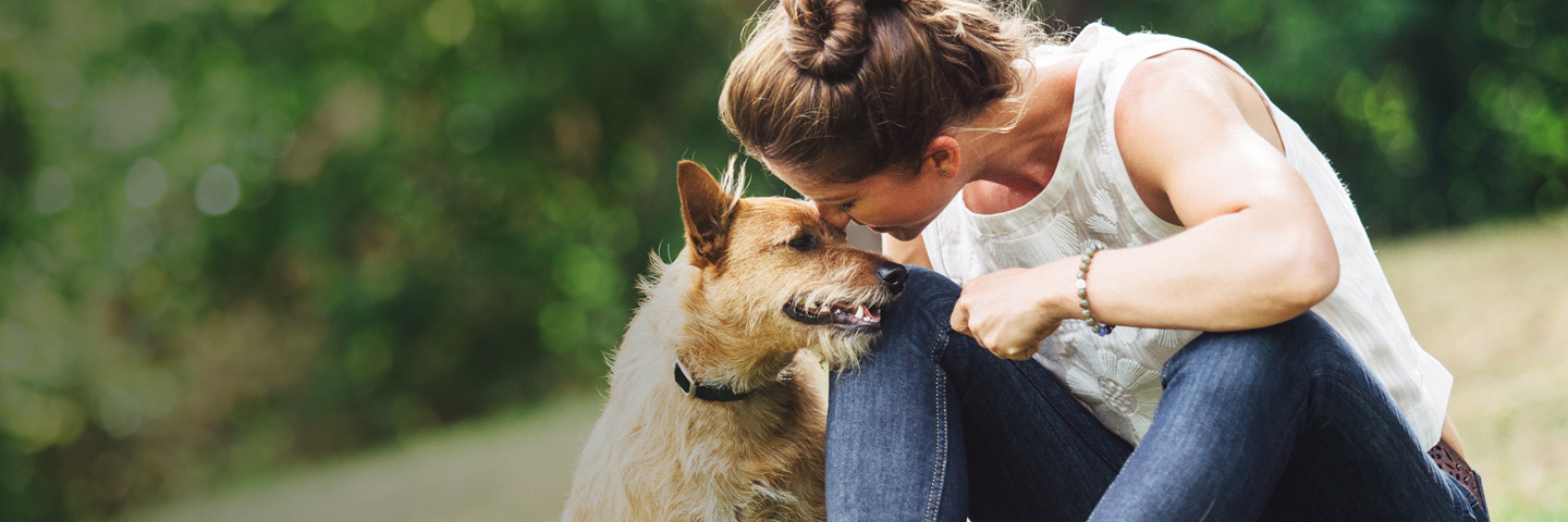 DogWatch of Southeastern Ontario, Battersea, Ontario | BarkCollar No-Bark Trainer Slider Image