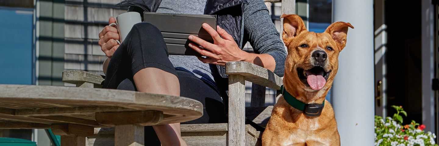 DogWatch of Southeastern Ontario, Battersea, Ontario | ProFence Slider Image